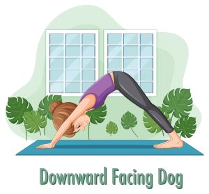 Adho Mukha Svanasana (Downward Dog) Enhancing Circulation and Relaxation
